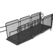 12' Handicap L Ramp