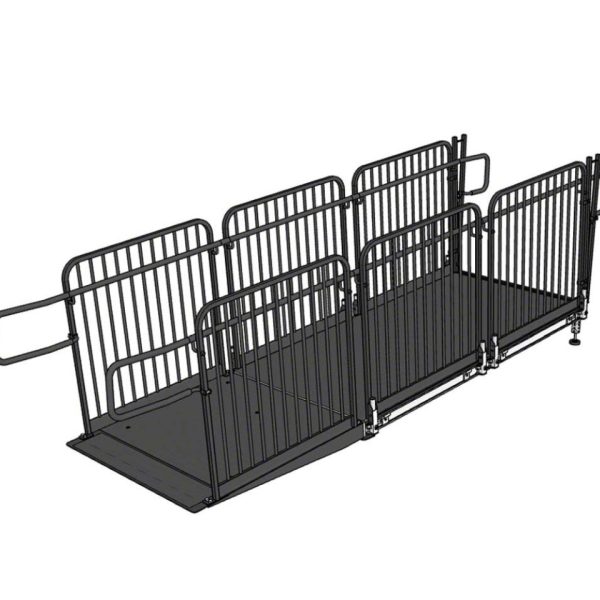 12' Handicap L Ramp
