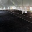 Black Turf