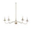 Belleview Chandelier