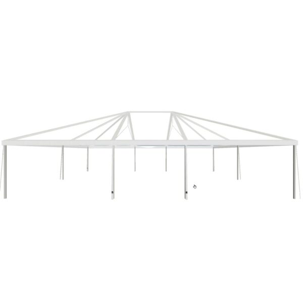 30'x40'x7' Clear Tent